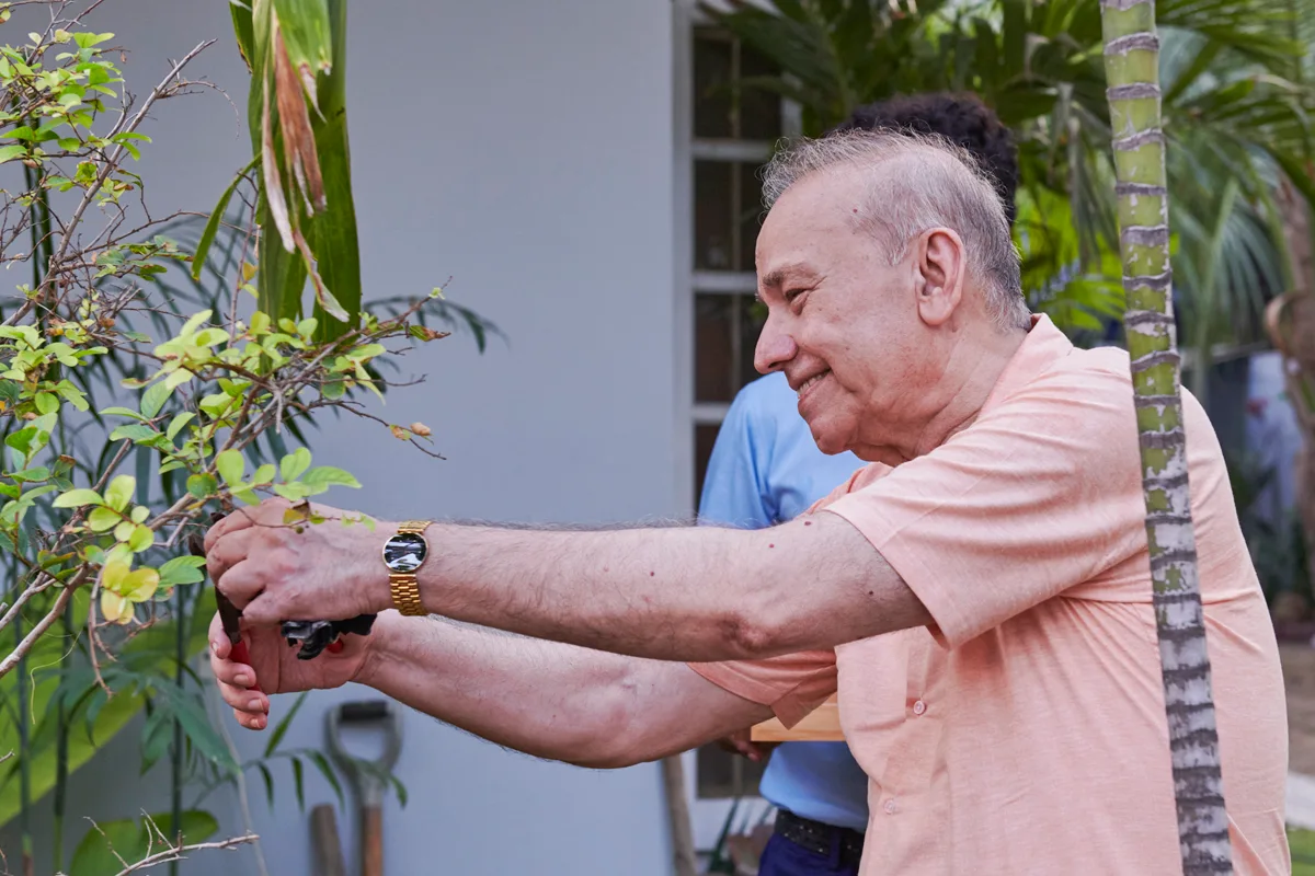 Senior man tending plants in the Senior Circle garden, Clifton